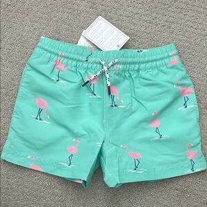 NWT Beaufort Bonnet Company green flamingo Swim Trunks